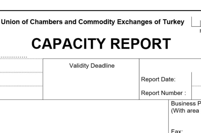 kapasite raporu tercümesi